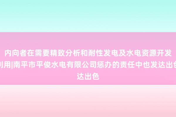 内向者在需要精致分析和耐性发电及水电资源开发利用|南平市平俊水电有限公司惩办的责任中也发达出色